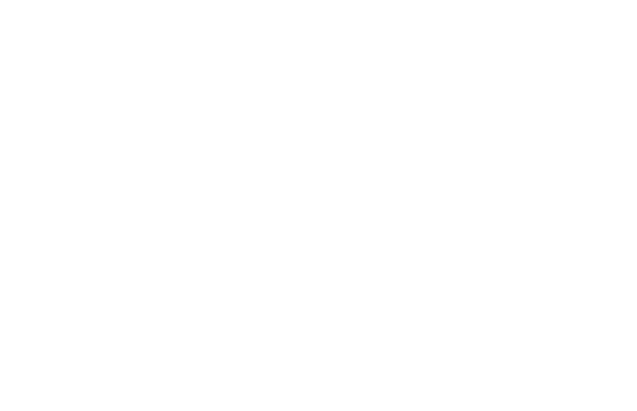 Патика
